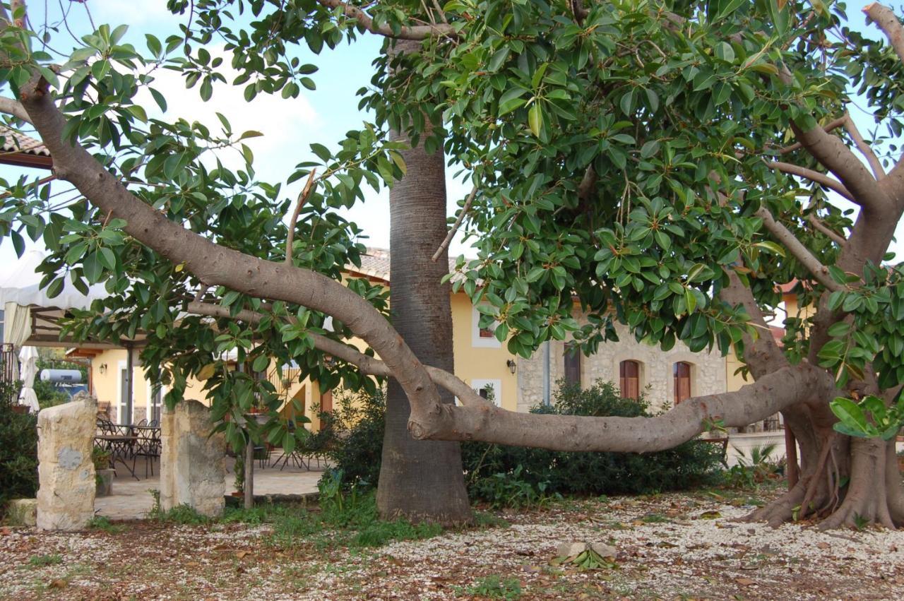 Il Giardino Del Sole Villa Agnone Bagni Bagian luar foto