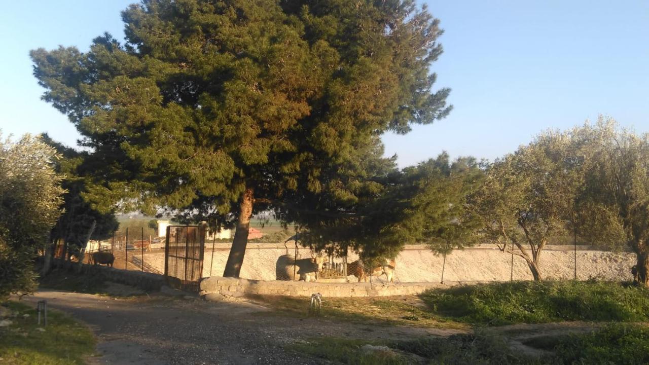 Il Giardino Del Sole Villa Agnone Bagni Bagian luar foto