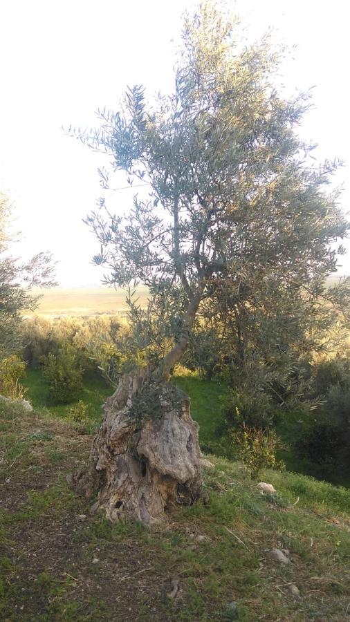 Il Giardino Del Sole Villa Agnone Bagni Bagian luar foto