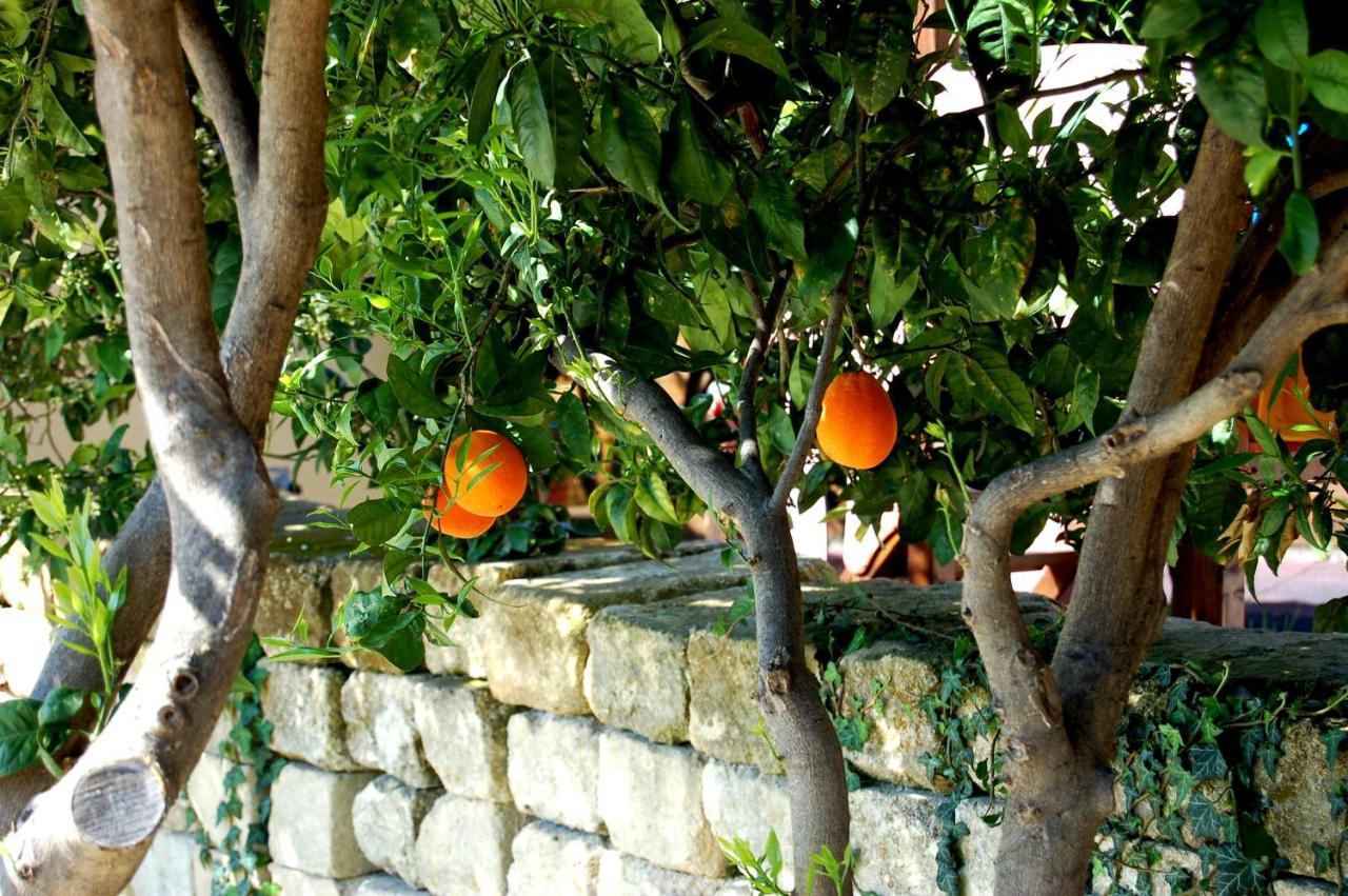 Il Giardino Del Sole Villa Agnone Bagni Bagian luar foto
