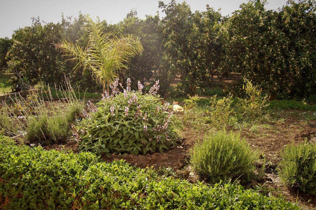 Il Giardino Del Sole Villa Agnone Bagni Bagian luar foto